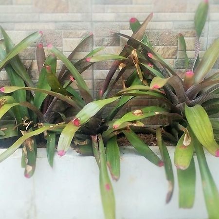 Homestay Bumi Asri III Cikutra Бандунг Екстериор снимка